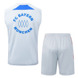 2025-26 Mens Bayern Munich Grey Retro Edition Vest short training
