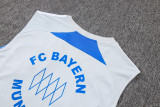 2025-26 Mens Bayern Munich Grey Retro Edition Vest short training