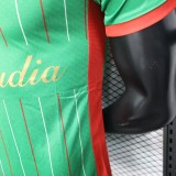2025-26 Mens Palestine green Player version soccer jersey
