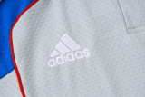 2025-26 Mens Bayern Munich grey  polo Training Suit