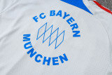 2025-26 Mens Bayern Munich grey  polo Training Suit