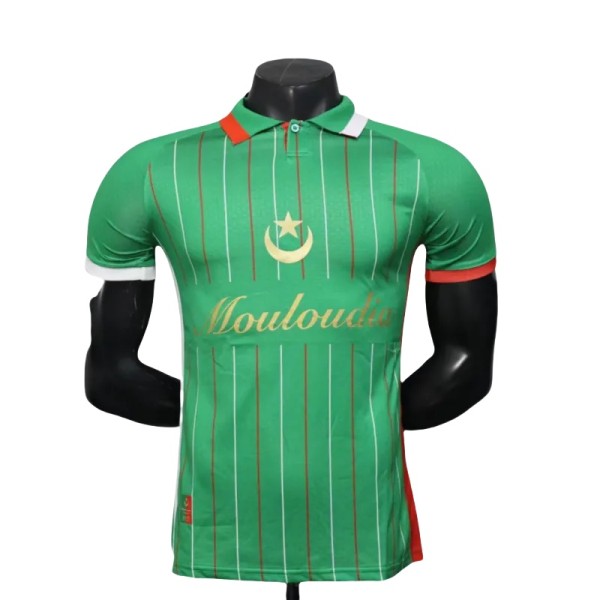 2025-26 Mens Palestine green Player version soccer jersey