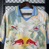 25-26 Mens Salzburg FC   Fans Soccer Jersey