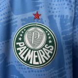 2025-26Mens  Palmeiras  goalkeeper  Soccer Jersey