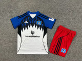 2025-26 Kids Hamburg SV blue white  home  Soccer Jersey