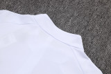 2025-26 Mens Germany  white   Half pull Training suit