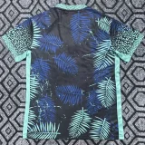 2025-26  Mens Brazil Special Edition  blue soccer jersey