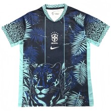 2025-26  Mens Brazil Special Edition  blue soccer jersey