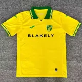 2025-26 Mens Norwich City Home yellow  Fans Soccer Jersey