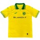 2025-26 Mens Norwich City Home yellow  Fans Soccer Jersey