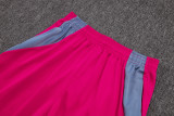 2025-26 Mens Flamengo rose pink short training suit