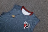 2025-26 Mens Sao Paulo  grey Vest short training
