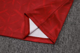 2025-26 Mens Sao Paulo red  Training Short Suit