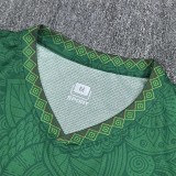 2026-27  Mens  Mali  Green Fans Soccer Jersey