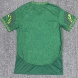 2026-27  Mens  Mali  Green Fans Soccer Jersey