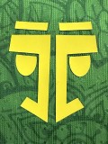 2025-26 Mens  Mali Green Player Version Soccer Jersey