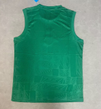 2025-26Mens  Mexico Green Vest green soccer jersey