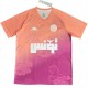 2025-26 Mens  Tunisia Pink Special Edition soccer  jersey