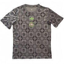 2025-26 Mens Bayern Munich Grey Special Edition  soccer Jersey