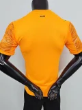 2025-26 Mens AC Milan  Orange Player Soccer Jersey