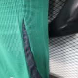 2025-26 Mens  Algeria green Player  soccer Jersey