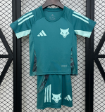 Kids  Cruzeiro soccer  jersey 2025/26
