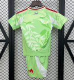 2025-26 Kids Italy Away  green  Soccer Jersey