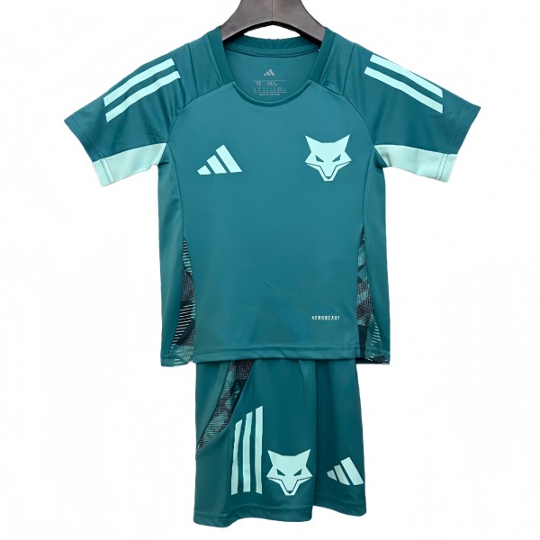 Kids  Cruzeiro soccer  jersey 2025/26