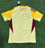 2025-26 Mens Venezuela Goalkeeper yellow  soccer jersey