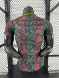 2025-26  Mens Mexico Special Edition red green Player version soccer jersey