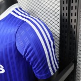 2025 AD Casual blue Player Version Training shirts