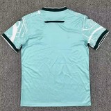 2025-26 Mens Nantes Away Fans Soccer Jersey