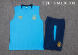 2025-26 Men’s Gremio blue vest Short traning suit