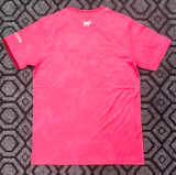 2025-26  Mens Portugal Red Special Edition soccer Jersey
