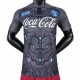 2025/26 Mens Napoli Grey Special Edition Player  soccer jersey