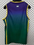2025-26 Mens Malaga green vest soccer jersey