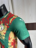 2025-26 Mens Senegal Special Edition Player Version soccer jersey