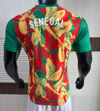 2025-26 Mens Senegal Special Edition Player Version soccer jersey