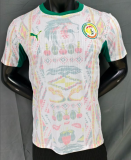 2026-27  Mens Senegal home Player Version soccer jersey
