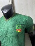 2026-27 Mens  Mali  Green Player version Soccer Jersey