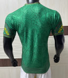 2026-27 Mens  Mali  Green Player version Soccer Jersey