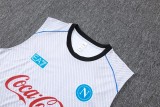 2025-26 Mens Napoli Light gray vest Training Short Suit
