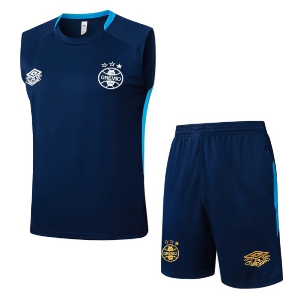 2025-26 Mens Gremio Royal blue vest Short traning suit