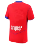 2025-26 Mens PSG Third away Long Sleeve red Soccer Jersey