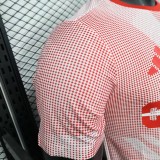 2026-27 Mens Canada  World Cup Culture Promotion Red  Player Version soccer Jersey