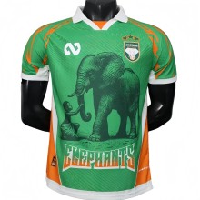 2025-26 Mens Ivory Coast green Player version soccer Jersey