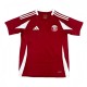 2025-26 Mens  Qatar Home red Soccer Jersey