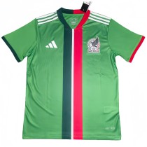 2025-26 Mens Mexico green Goalkeeper  Fans Soccer Jersey