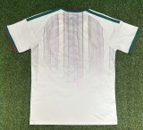 2026-27 Mens  Algeria home white  soccer Jersey