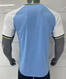 2026-27  Mens  Burkina Faso  Special Edition blue  Player soccer jersey